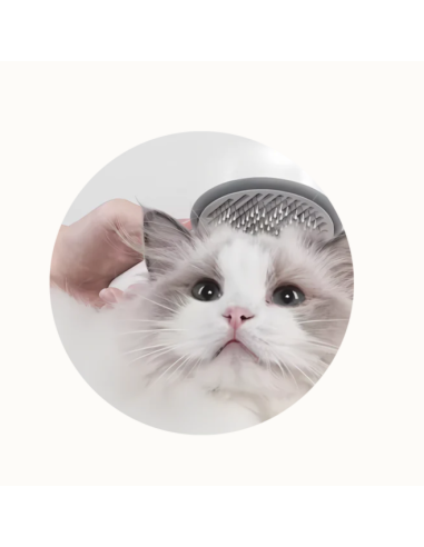 Spazzy Spazzola Portatile Con Nebulizzatore  a Freddo bianca . Toelettatura per cani e gatti.