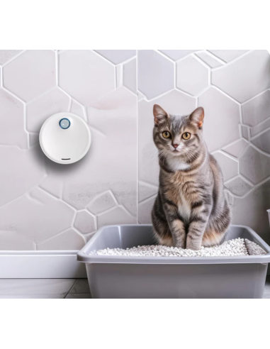 Pet Deodorized Neutralizza Odori per Lettiera e cucce . ambiente