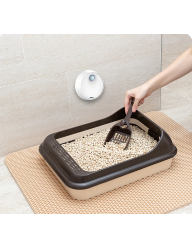 Pet Deodorized Neutralizza Odori per Lettiera e cucce . ambiente