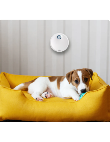 Pet Deodorized Neutralizza Odori per Lettiera e cucce . ambiente