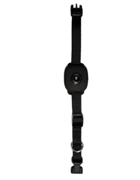 Fido Pet 4g Gps Con Collare . Accessori per cani.