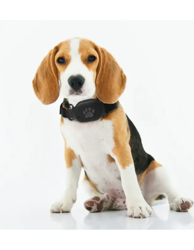 Fido Pet 4g Gps Con Collare . Accessori per cani.