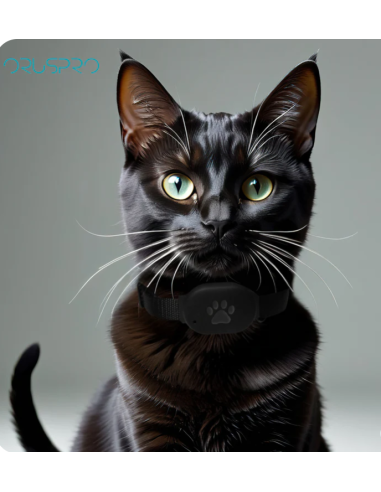 Fido Pet 4g Gps Con Collare . Accessori per cani.