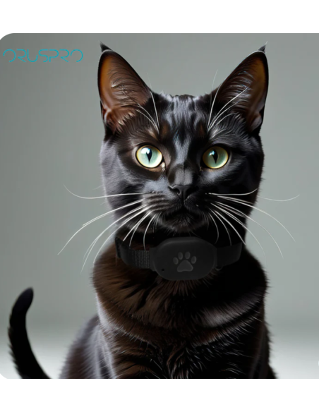 Fido Pet 4g Gps Con Collare . Accessori per cani.