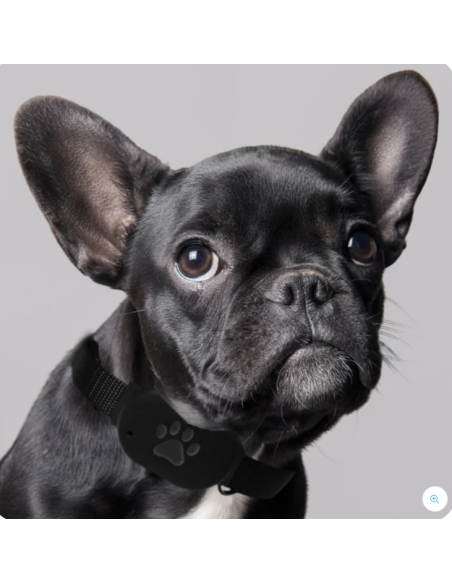 Fido Pet 4g Gps Con Collare . Accessori per cani.