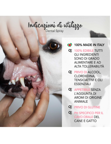 Yuup Dental Spray ml 100. Igienici Per Cani .