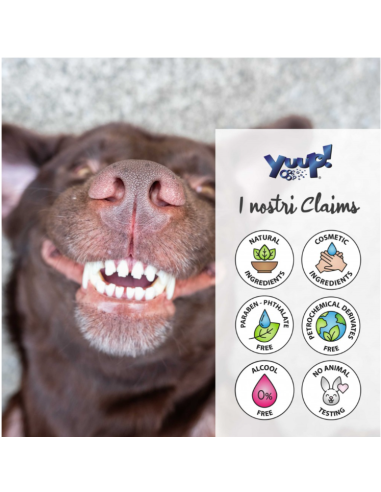 Yuup Dental Spray ml 100. Igienici Per Cani .