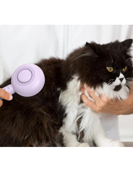 Vapy Pro Spazzola Con Nebulizzatore a Freddo Lilla . Toelettatura per cani.