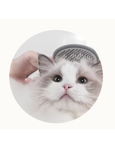 Vapy Pro Spazzola Con Nebulizzatore a Freddo Rosa. Toelettatura per cani.