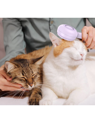 Vapy Pro Spazzola Con Nebulizzatore a Freddo Rosa. Toelettatura per cani.