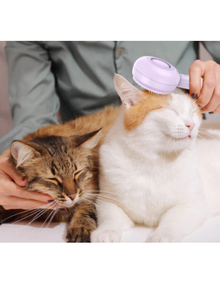 Vapy Pro Spazzola Con Nebulizzatore a Freddo Rosa. Toelettatura per cani.