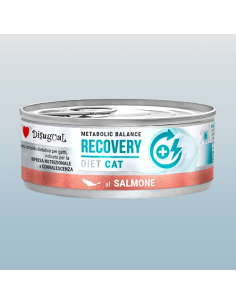 Disugual Diet Gatto Recovery Salmone gr 85. Diete Cibo Umido Per Gatti