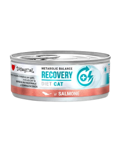 Disugual Diet Gatto Recovery Salmone gr 85. Diete Cibo Umido Per Gatti 2