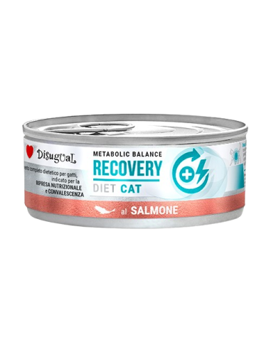 Disugual Diet Gatto Recovery Salmone gr 85. Diete Cibo Umido Per Gatti