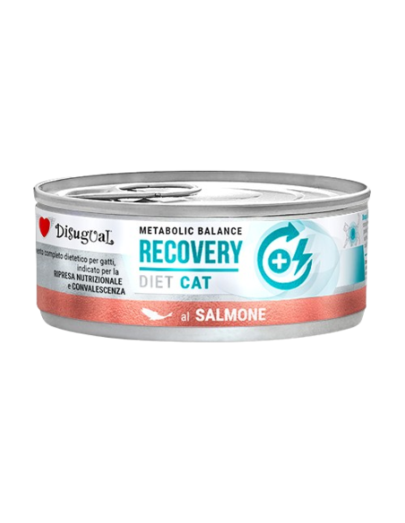 Disugual Diet Gatto Recovery Salmone gr 85. Diete Cibo Umido Per Gatti