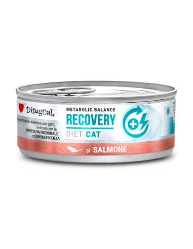 Disugual Diet Gatto Recovery Salmone gr 85. Diete Cibo Umido Per Gatti