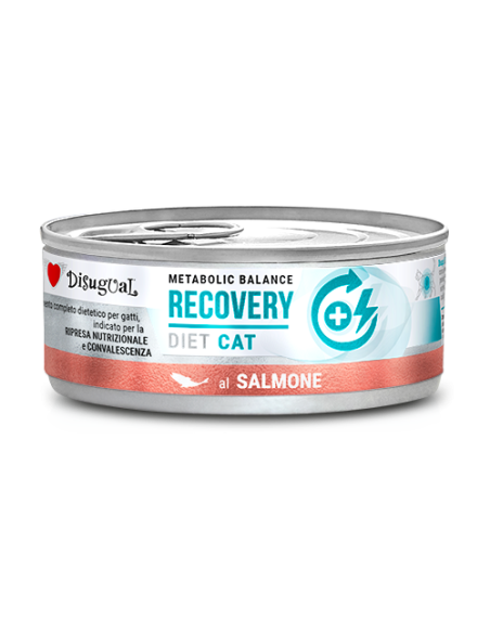 Disugual Diet Gatto Recovery Salmone gr 85. Diete Cibo Umido Per Gatti