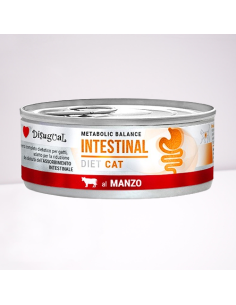 Disugual Diet Gatto Intestinal Manzo gr 85. Diete Cibo Umido Per Gatti