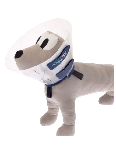 Collare post Op misura xxl cm 35. Accessori Medicali per cani.