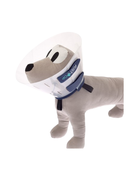 Collare post Op misura xxl cm 35. Accessori Medicali per cani.