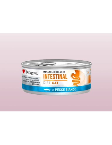 Disugual Diet gatto Intestinal Pesce Bianco gr 85. Diete Cibo Umido Per gatti