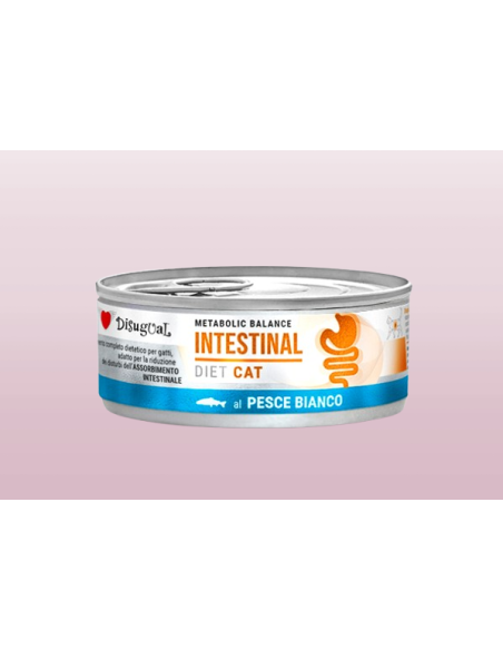Disugual Diet gatto Intestinal Pesce Bianco gr 85. Diete Cibo Umido Per gatti
