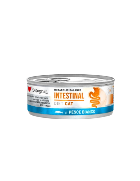 Disugual Diet gatto Intestinal Pesce Bianco gr 85. Diete Cibo Umido Per gatti