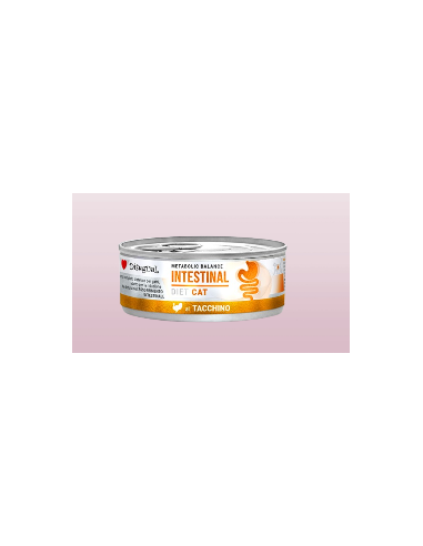 Disugual Diet Gatto Intestinal Tacchino gr 85. Diete Cibo Umido Per gatti