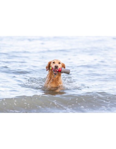 Aqua Toy Faro Con Corda cm 26. Giochi Per Cani