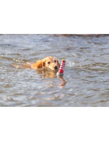 Aqua Toy Faro Con Corda cm 26. Giochi Per Cani