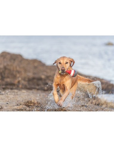 Aqua Toy Boa Snack con corsa cm 19. Giochi Per Cani