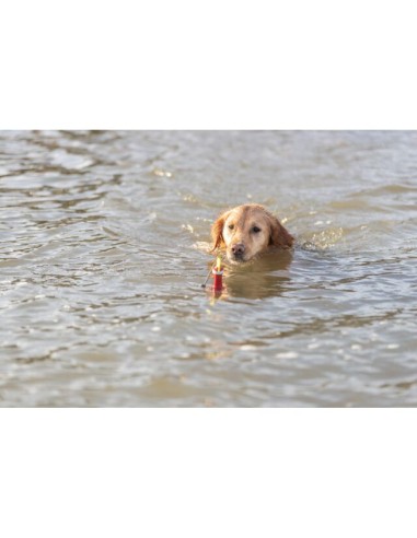 Aqua Toy Boa Snack con corsa cm 19. Giochi Per Cani