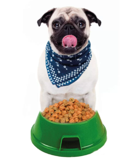 Ciotola Plastica misura medium  Mantovani . Ciotole per cani .