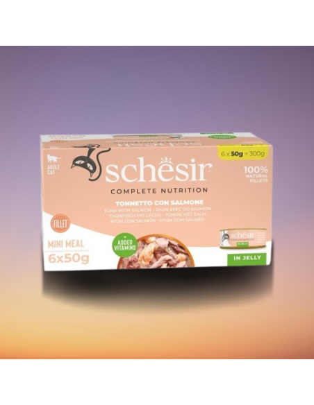 Schesir Cat Tonnetto con Salmone 6x50 Gr Cibo Umido per Gatti Adulti Pelo Corto