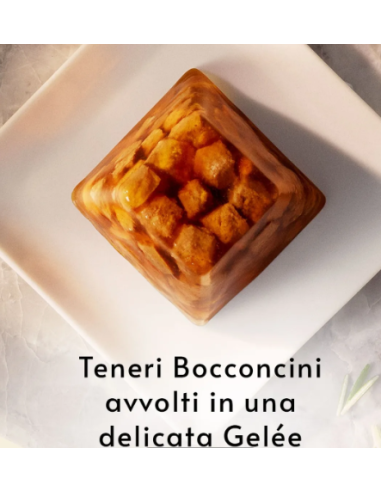 Gourmet Revelation Bocconcini in Gelée con Pesce Bianco 4x gr.57. Alimento completo per gatti