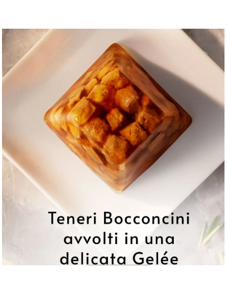 Gourmet Revelation Bocconcini in Gelée con Salmone 4x gr.57. Cibo Umido per gatti