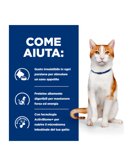 HILL'S Feline On-Care Gr.82. Diete . Cibo Umido Per Gatti .