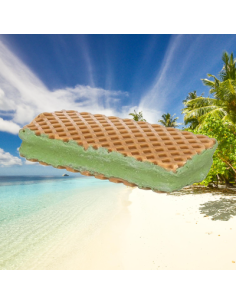 Sandwich Ice Cream Sfuso. Snack per Cani .