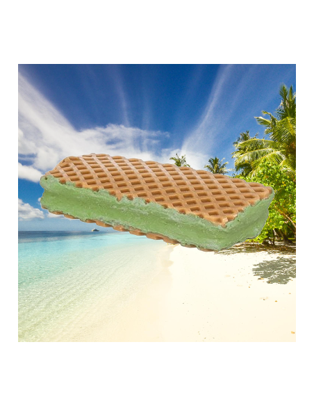 Sandwich Ice Cream Sfuso. Snack per Cani .