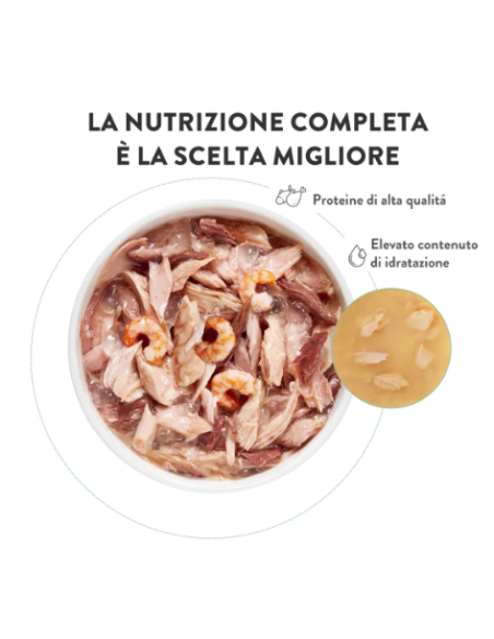 Schesir Tonno con Alicette in jelly Lattine 6x50gr.Cibo Umido per gatti