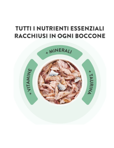 Schesir Tonno con Alicette in jelly Lattine 6x50gr.Cibo Umido per gatti