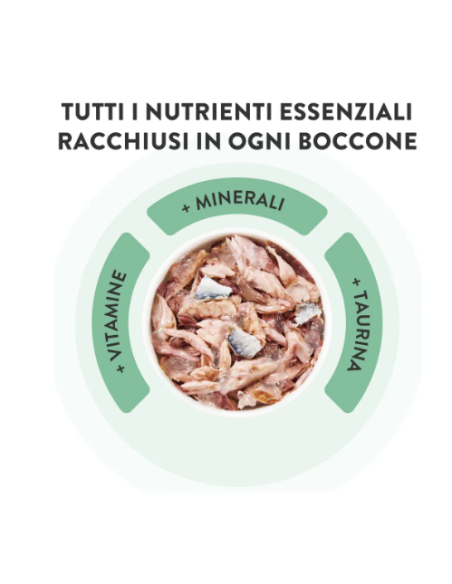 Schesir Tonno con Alicette in jelly Lattine 6x50gr.Cibo Umido per gatti