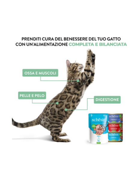 Schesir Tonno con Alicette in jelly Lattine 6x50gr.Cibo Umido per gatti