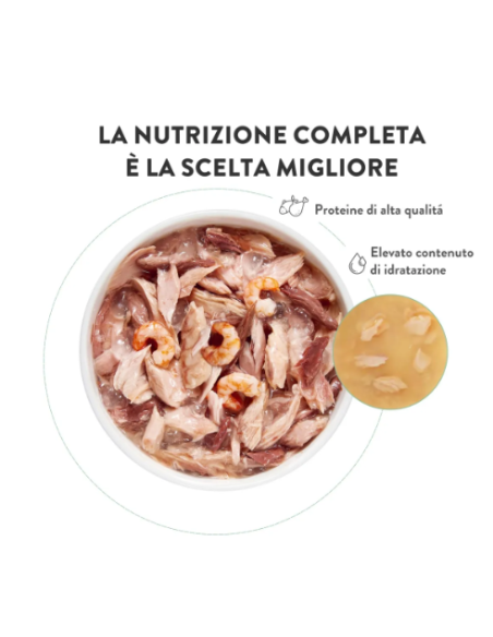 Schesir Tonnetto con Prosciutto in jelly 6x50gr.Cibo Umido per gatti
