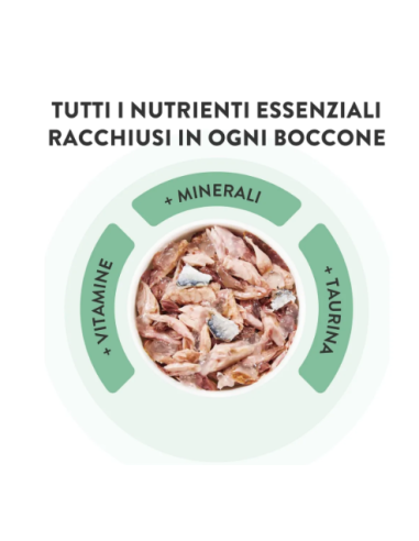 Schesir Tonnetto con Prosciutto in jelly 6x50gr.Cibo Umido per gatti