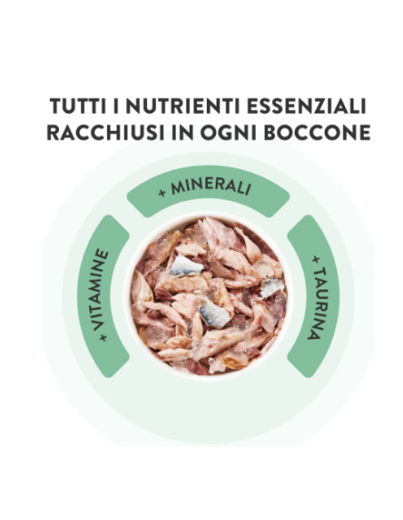 Schesir Tonnetto con Prosciutto in jelly 6x50gr.Cibo Umido per gatti