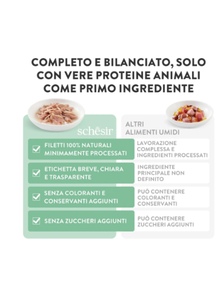 Schesir Tonnetto con Prosciutto in jelly 6x50gr.Cibo Umido per gatti