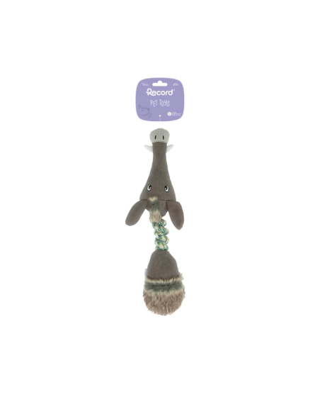 Record Gioco Elastic Friends Cinghiale. Giochi Per Cani
