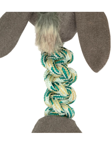 Record Gioco Elastic Friends Cinghiale. Giochi Per Cani