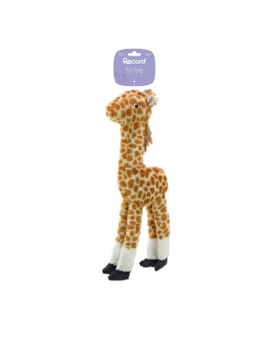 Record Gioco Plushy Giraffa . Giochi per Cani